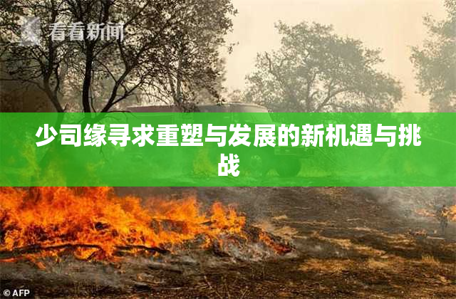 少司缘寻求重塑与发展的新机遇与挑战