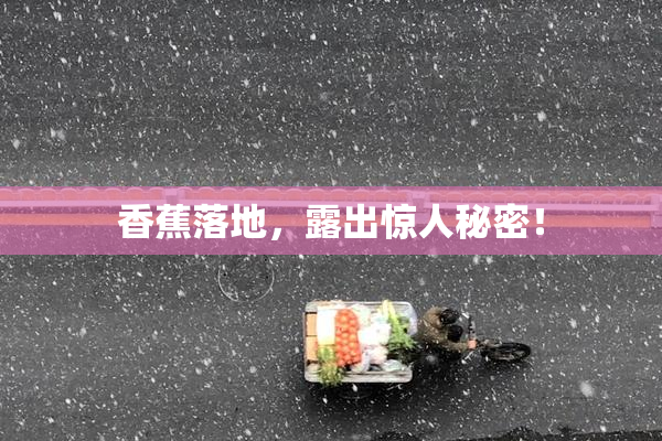 香蕉落地，露出惊人秘密！