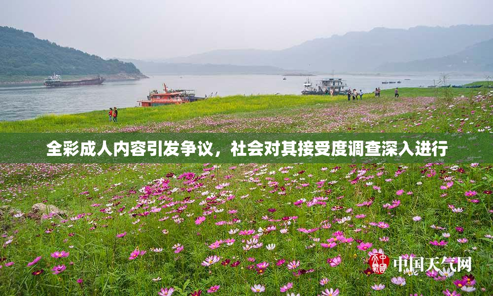 全彩成人内容引发争议，社会对其接受度调查深入进行