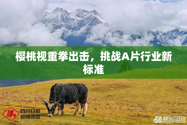 樱桃视重拳出击，挑战A片行业新标准