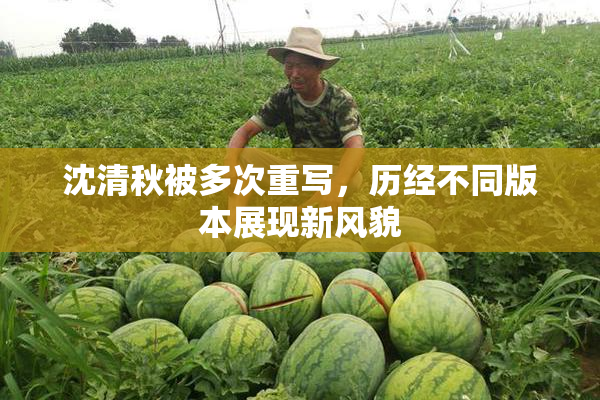 沈清秋被多次重写，历经不同版本展现新风貌