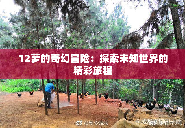 12萝的奇幻冒险：探索未知世界的精彩旅程