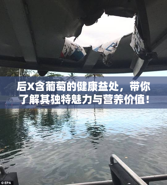 后X含葡萄的健康益处，带你了解其独特魅力与营养价值！