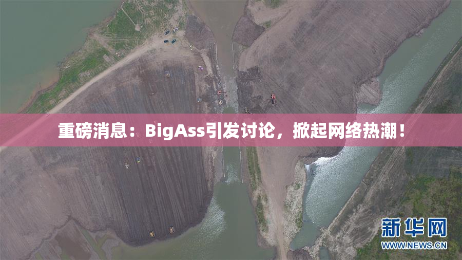 重磅消息：BigAss引发讨论，掀起网络热潮！