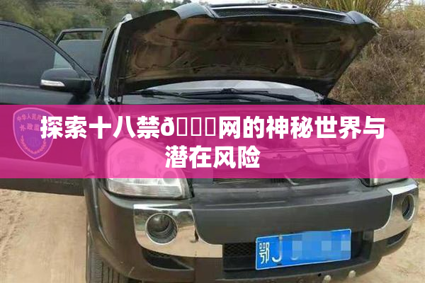 探索十八禁🔞网的神秘世界与潜在风险