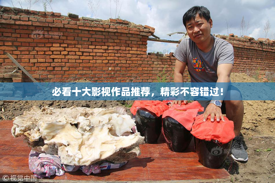 必看十大影视作品推荐，精彩不容错过！