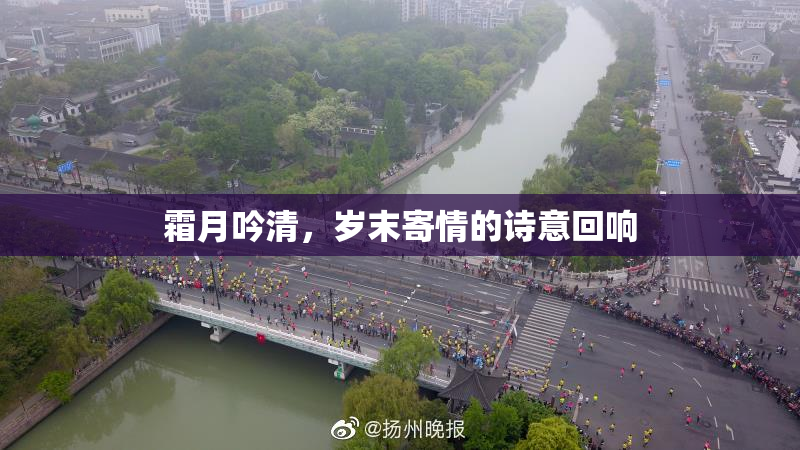 霜月吟清，岁末寄情的诗意回响