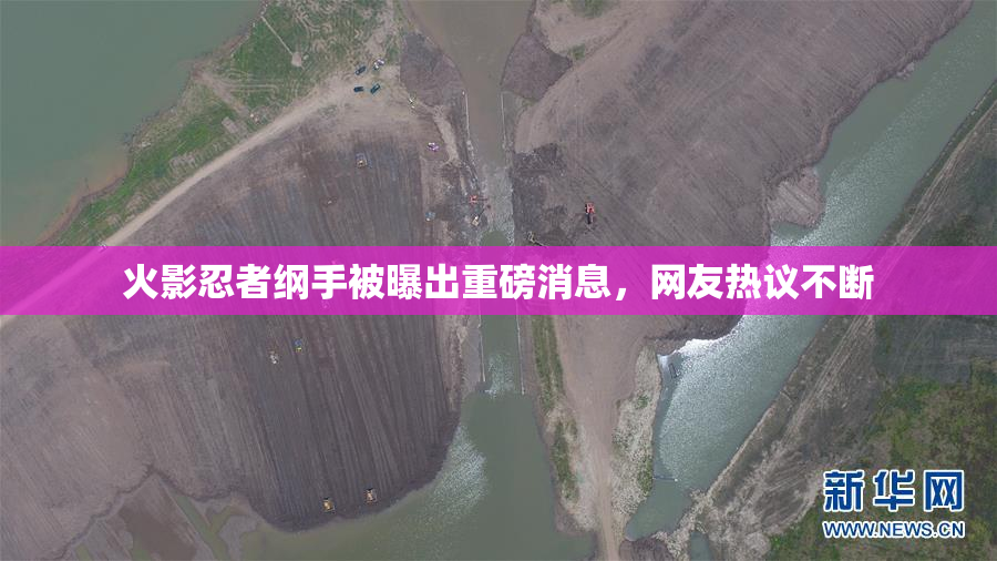 火影忍者纲手被曝出重磅消息，网友热议不断