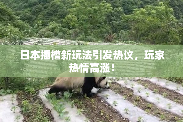 日本插槽新玩法引发热议，玩家热情高涨！