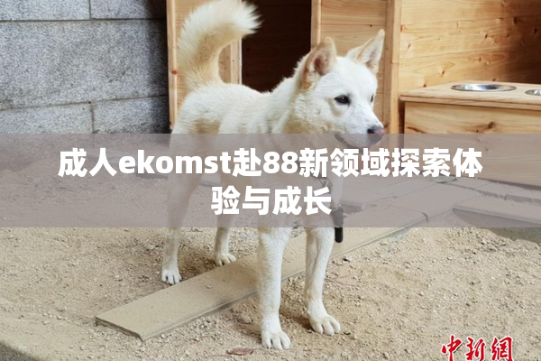 成人ekomst赴88新领域探索体验与成长