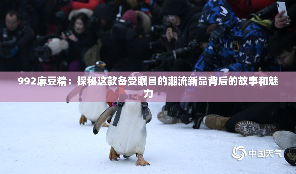992麻豆精：探秘这款备受瞩目的潮流新品背后的故事和魅力