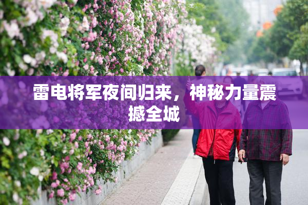 雷电将军夜间归来，神秘力量震撼全城