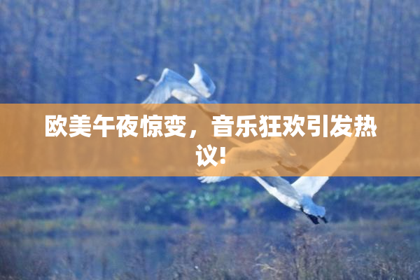 欧美午夜惊变，音乐狂欢引发热议!