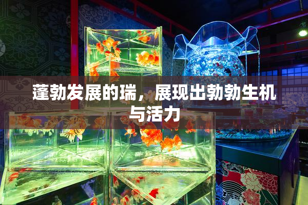 蓬勃发展的瑞，展现出勃勃生机与活力