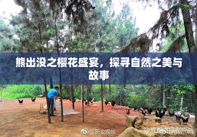 熊出没之樱花盛宴，探寻自然之美与故事