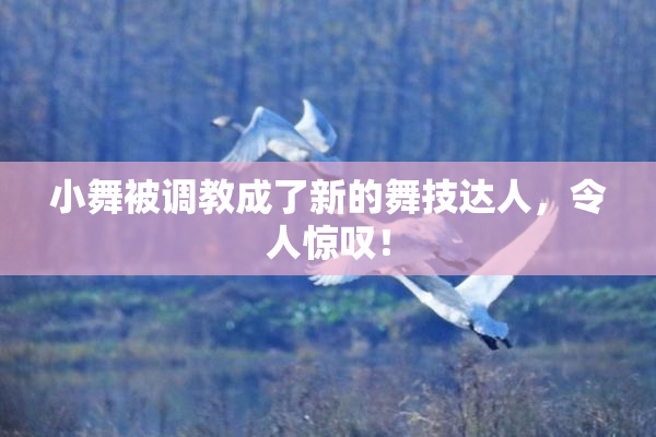 小舞被调教成了新的舞技达人，令人惊叹！