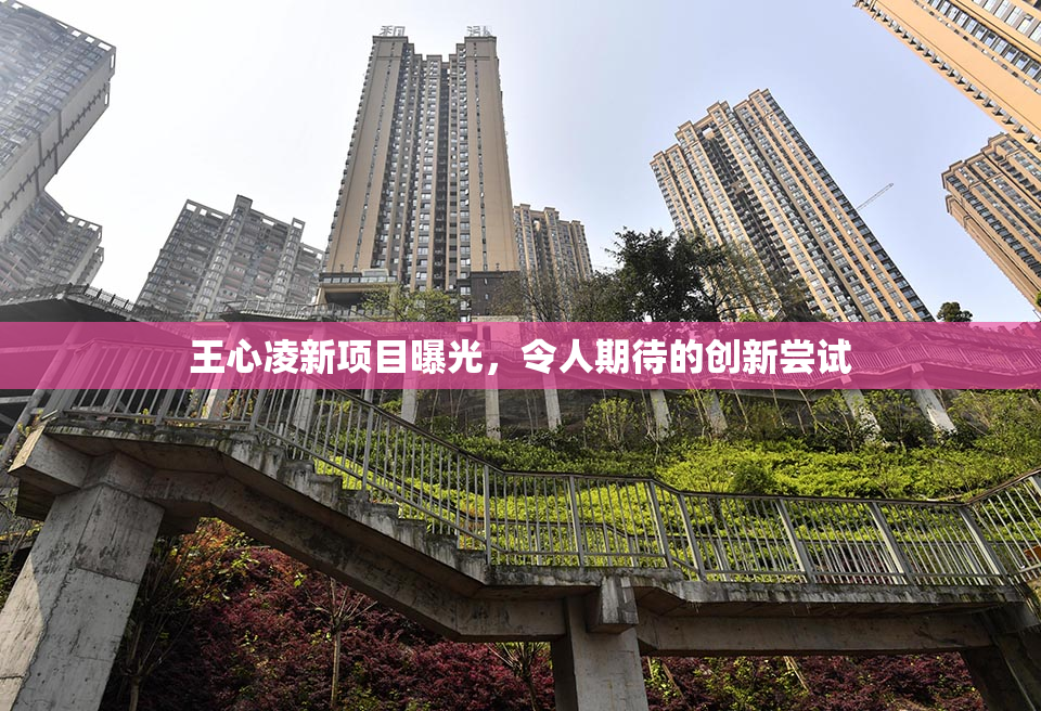 王心凌新项目曝光，令人期待的创新尝试