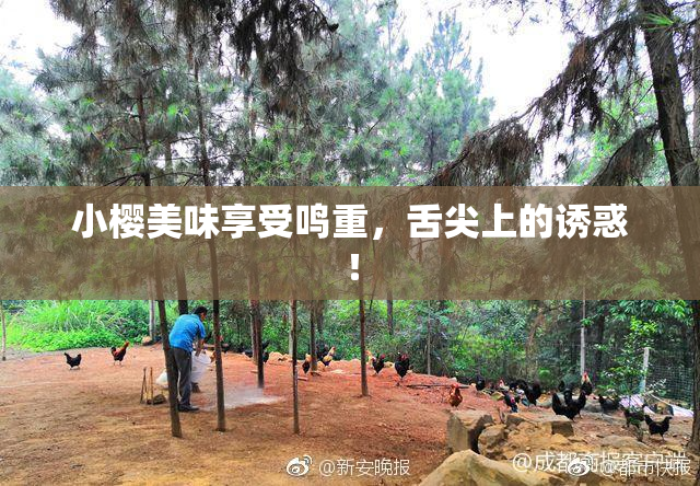 小樱美味享受鸣重，舌尖上的诱惑！