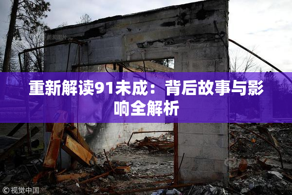 重新解读91未成：背后故事与影响全解析