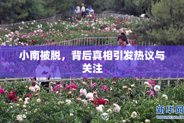 小南被脱，背后真相引发热议与关注