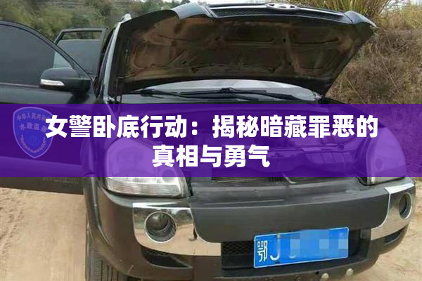 女警卧底行动：揭秘暗藏罪恶的真相与勇气