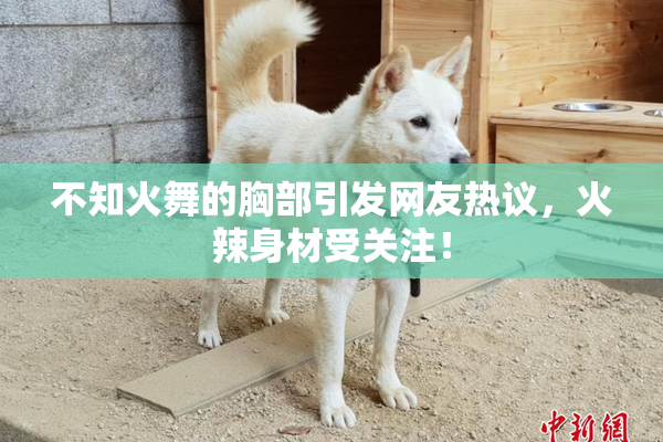 不知火舞的胸部引发网友热议，火辣身材受关注！