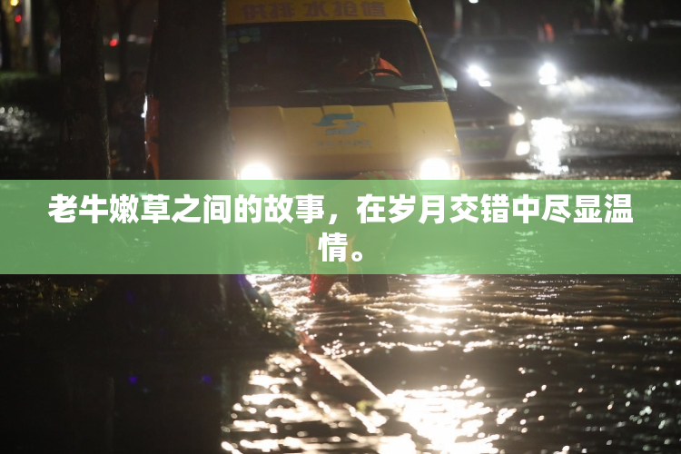 老牛嫩草之间的故事，在岁月交错中尽显温情。