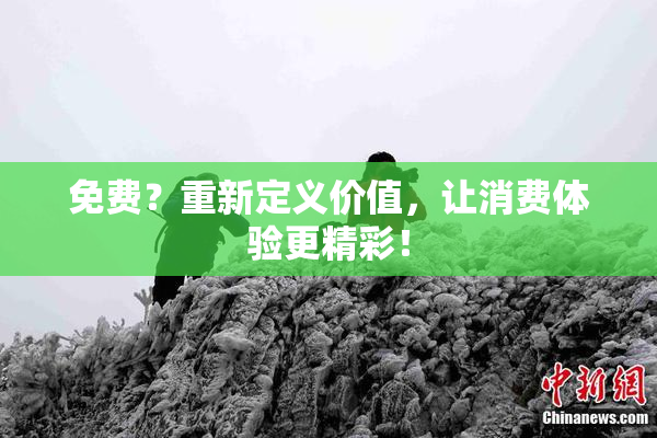 免费？重新定义价值，让消费体验更精彩！