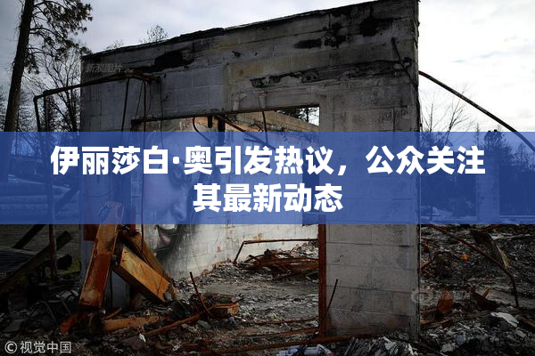 伊丽莎白·奥引发热议，公众关注其最新动态