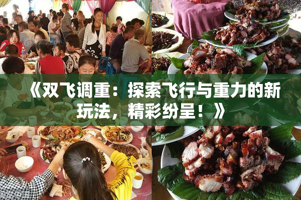 《双飞调重：探索飞行与重力的新玩法，精彩纷呈！》