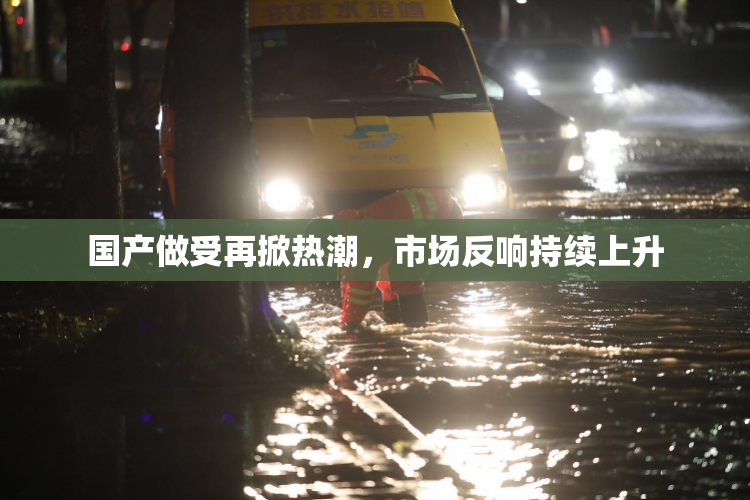 国产做受再掀热潮，市场反响持续上升
