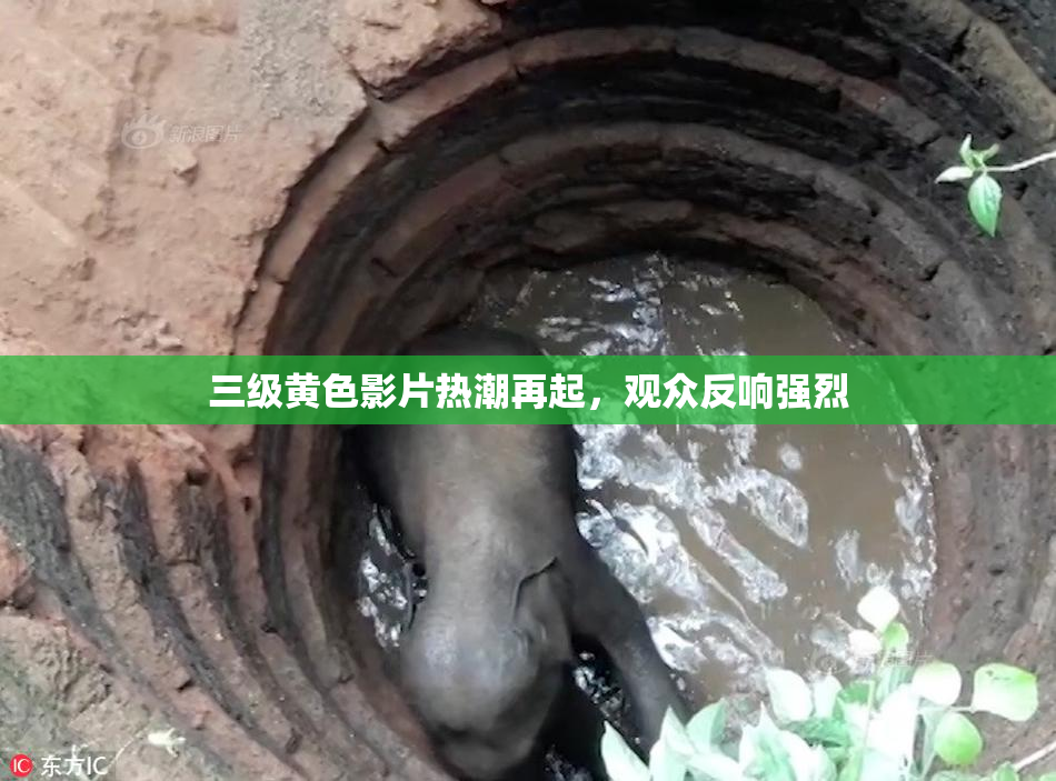 三级黄色影片热潮再起，观众反响强烈