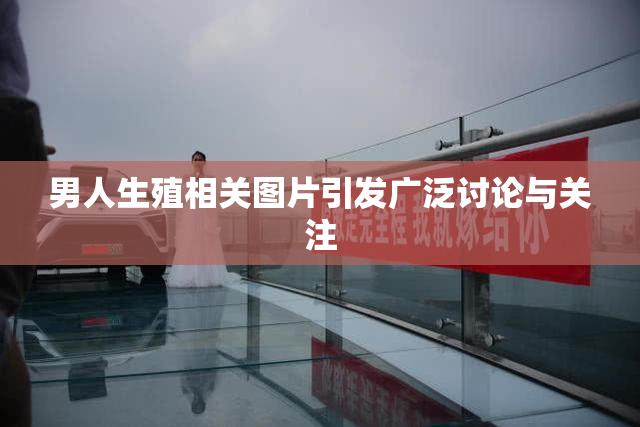 男人生殖相关图片引发广泛讨论与关注