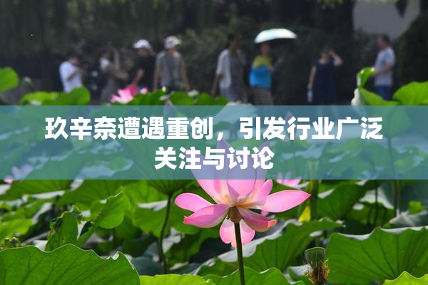 玖辛奈遭遇重创，引发行业广泛关注与讨论