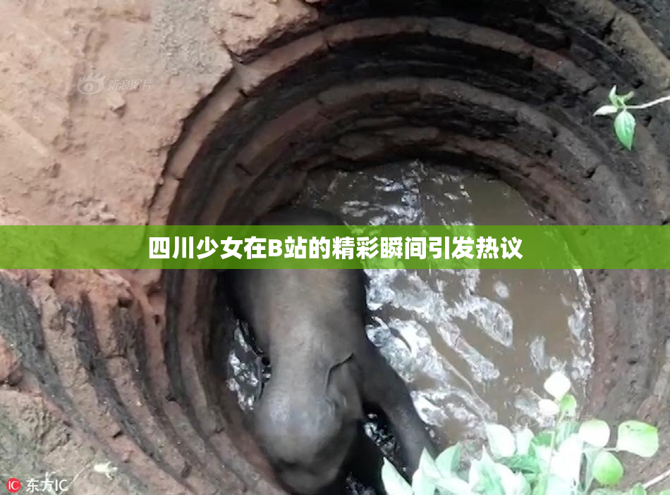 四川少女在B站的精彩瞬间引发热议