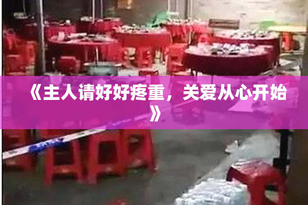 《主人请好好疼重，关爱从心开始》