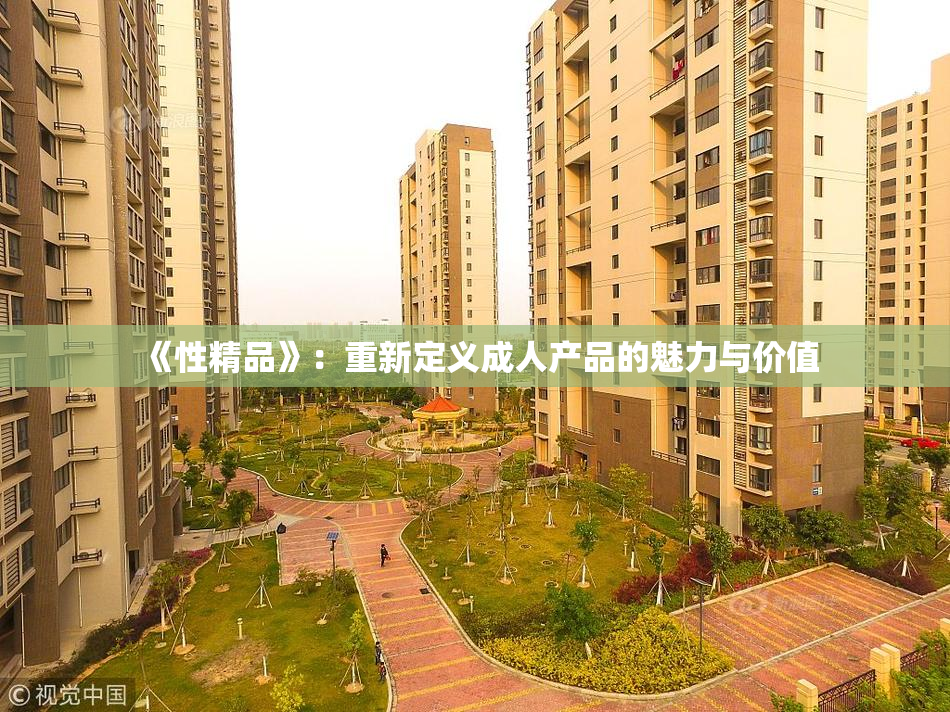 《性精品》：重新定义成人产品的魅力与价值