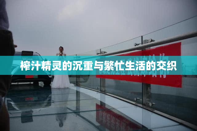 榨汁精灵的沉重与繁忙生活的交织