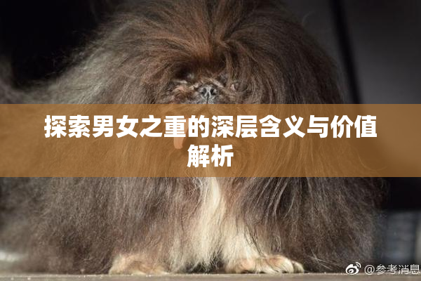探索男女之重的深层含义与价值解析