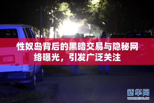 性奴岛背后的黑暗交易与隐秘网络曝光，引发广泛关注
