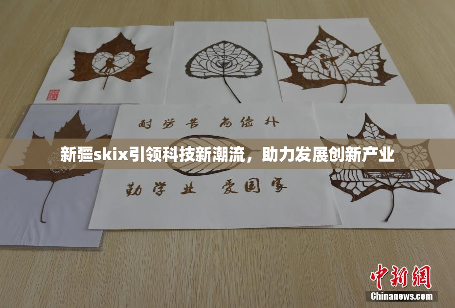 新疆skix引领科技新潮流，助力发展创新产业