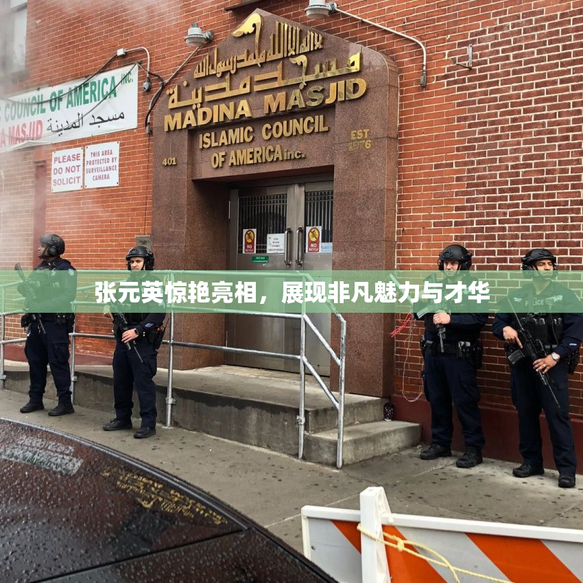 张元英惊艳亮相，展现非凡魅力与才华