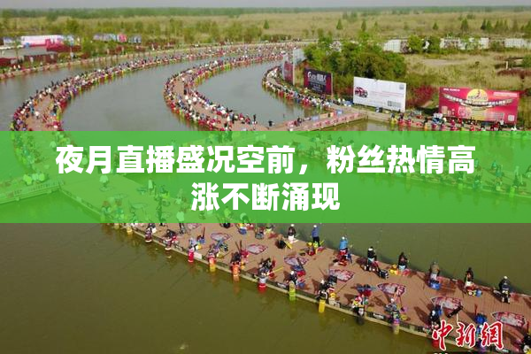 夜月直播盛况空前，粉丝热情高涨不断涌现
