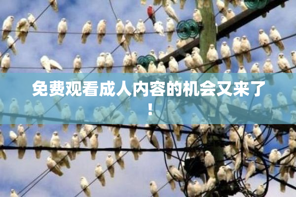 免费观看成人内容的机会又来了！