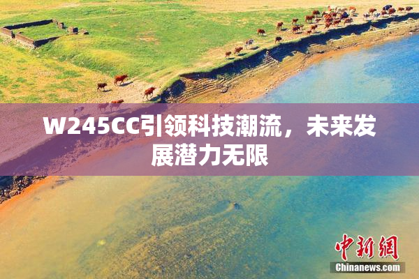 W245CC引领科技潮流，未来发展潜力无限