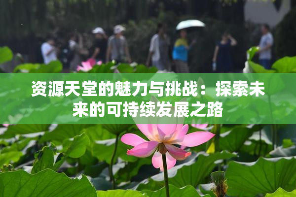 资源天堂的魅力与挑战：探索未来的可持续发展之路