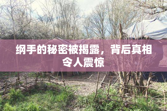 纲手的秘密被揭露，背后真相令人震惊
