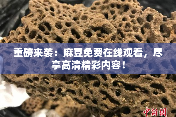重磅来袭：麻豆免费在线观看，尽享高清精彩内容！