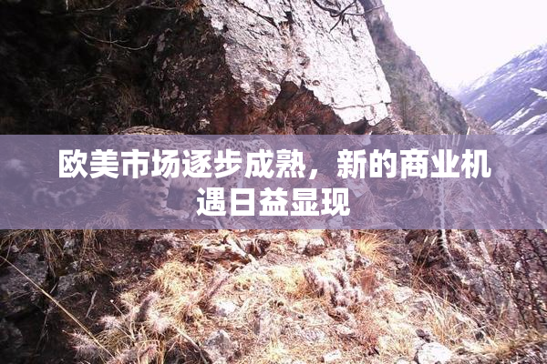 欧美市场逐步成熟，新的商业机遇日益显现