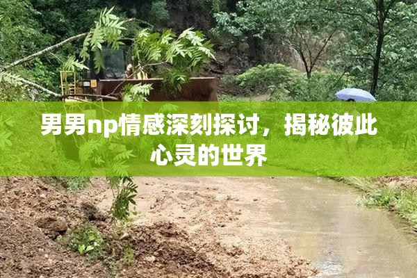 男男np情感深刻探讨，揭秘彼此心灵的世界